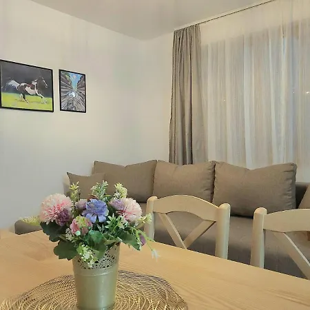 Antic Stara Planina Crni Vrh