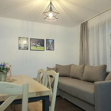 Apartament Antić Stara Planina *