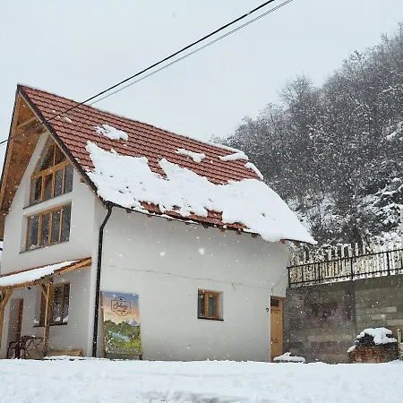 Apartament Antic Stara Planina