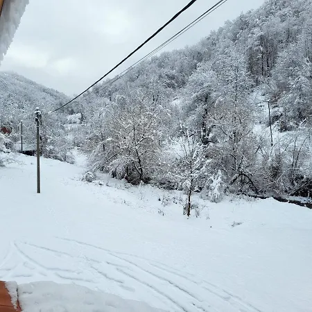 Апартаменты Antic Stara Planina Crni Vrh