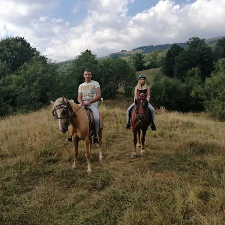 Antic Stara Planina Apartament