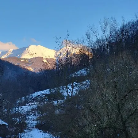 Antić Stara Planina * Crni Vrh