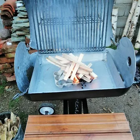 Antić Stara Planina Apartament