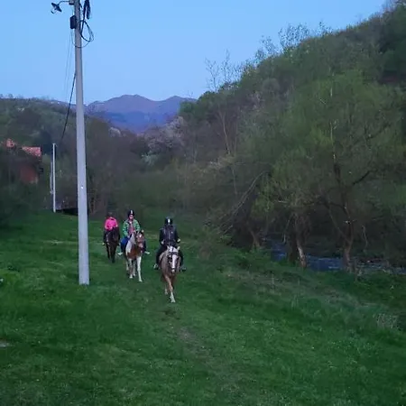 Antic Stara Planina Crni Vrh