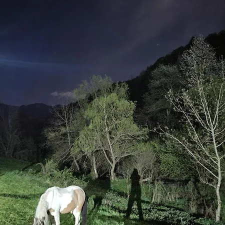 Antic Stara Planina *