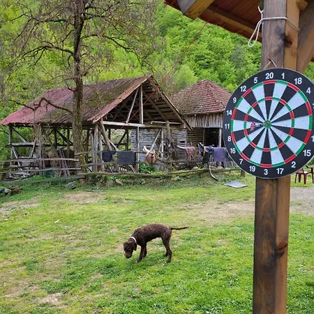 Antic Stara Planina Апартаменты *