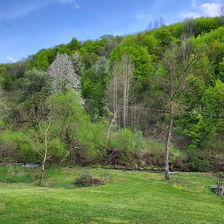 Apartament Antić Stara Planina Crni Vrh