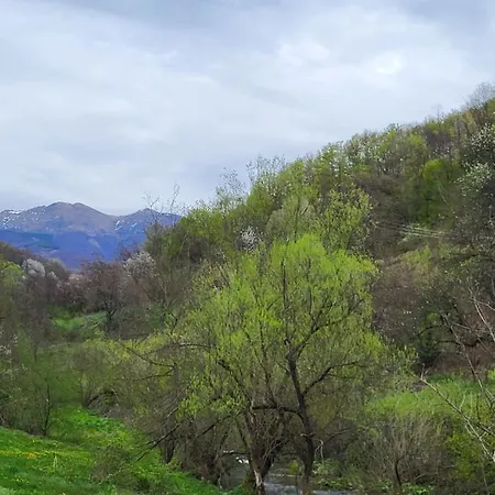 Апартаменты Antic Stara Planina