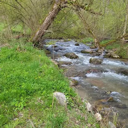 Апартаменты Antic Stara Planina