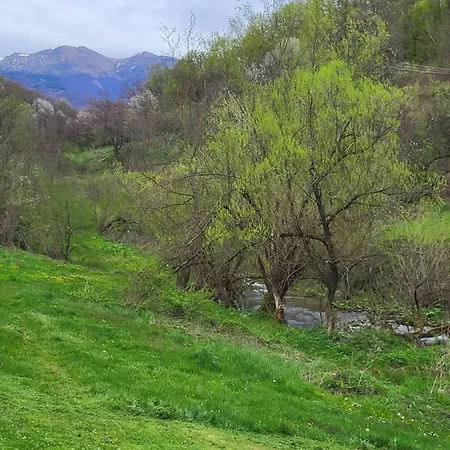 Antić Stara Planina