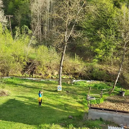 Antić Stara Planina Apartament *