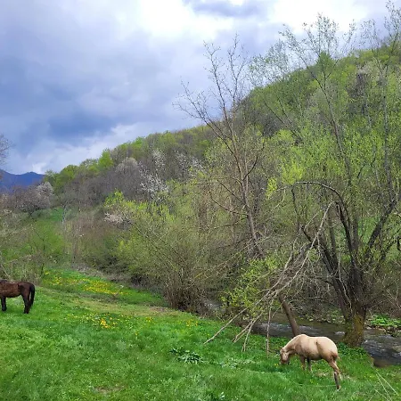 Antic Stara Planina * Crni Vrh