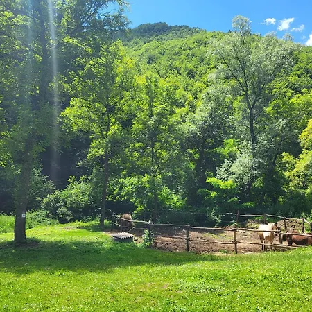 Antic Stara Planina Апартаменты *