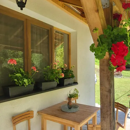 Antic Stara Planina Апартаменты Crni Vrh