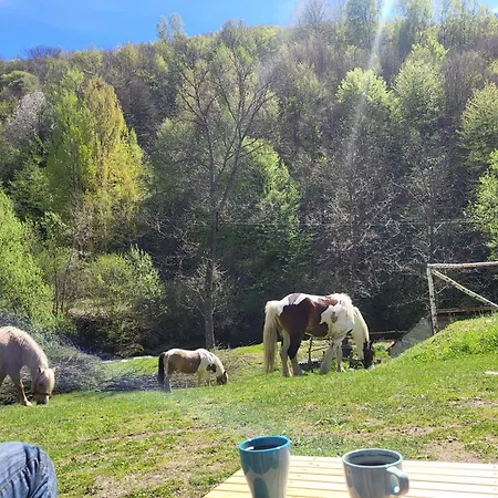 Antic Stara Planina * Crni Vrh