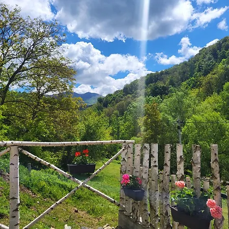 Antic Stara Planina * Crni Vrh