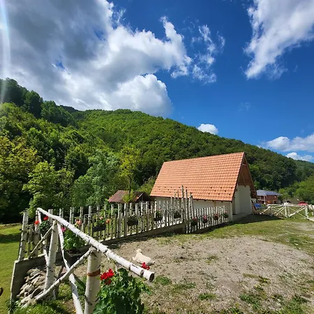 Antic Stara Planina Апартаменты *