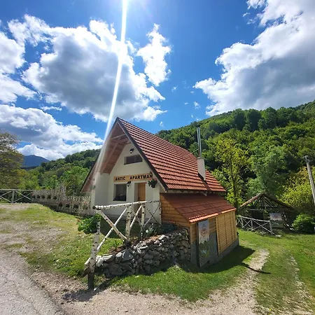 Апартаменты Antic Stara Planina Crni Vrh