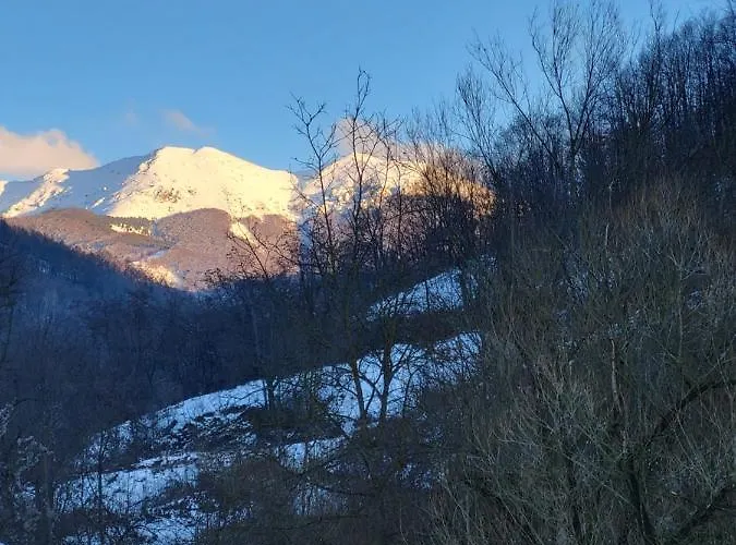 Antic Stara Planina * Crni Vrh