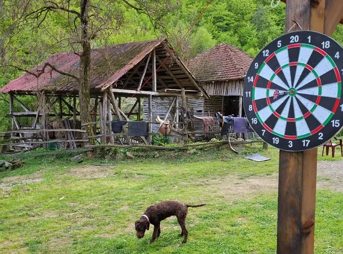 Antic Stara Planina Appartamento *