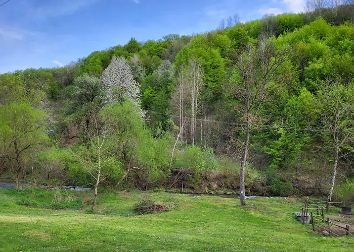 Appartamento Antic Stara Planina Crni Vrh