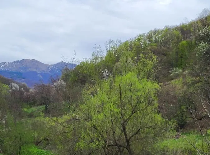 Appartamento Antic Stara Planina