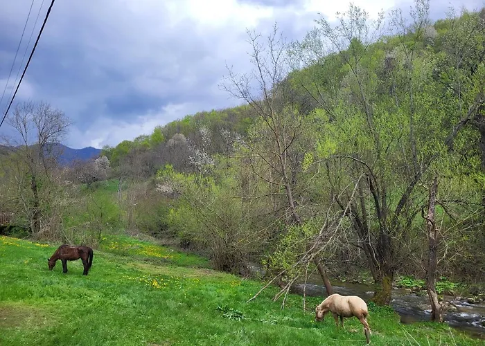 Antic Stara Planina * Crni Vrh