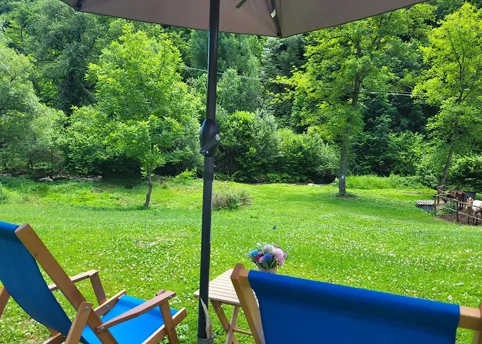 Antic Stara Planina * Crni Vrh