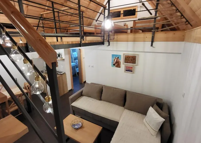 Antic Stara Planina * Crni Vrh