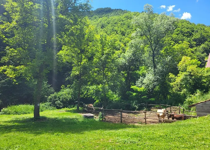 Antic Stara Planina Appartamento *