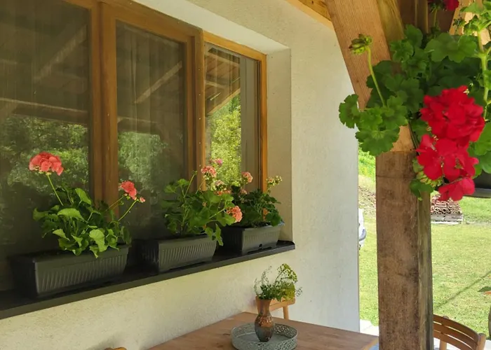 Antic Stara Planina Appartamento Crni Vrh