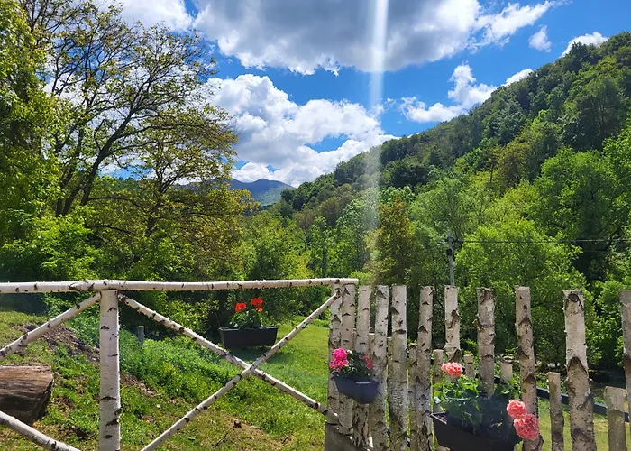 Antic Stara Planina * Crni Vrh