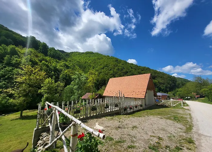 Antic Stara Planina Appartamento *
