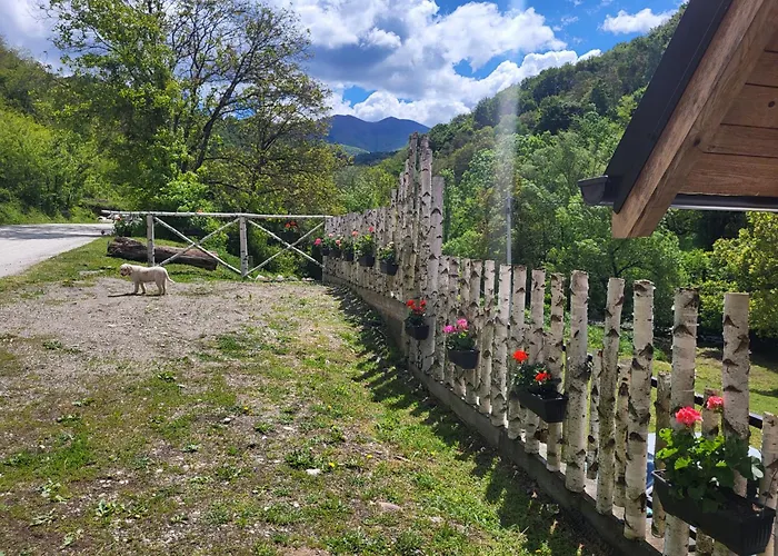 Antic Stara Planina * Crni Vrh